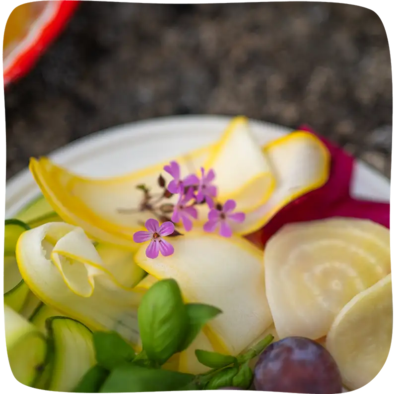 Assiette vue de proche avec des tranches de légumes finement coupé avec un touche florale mauve au dessus.