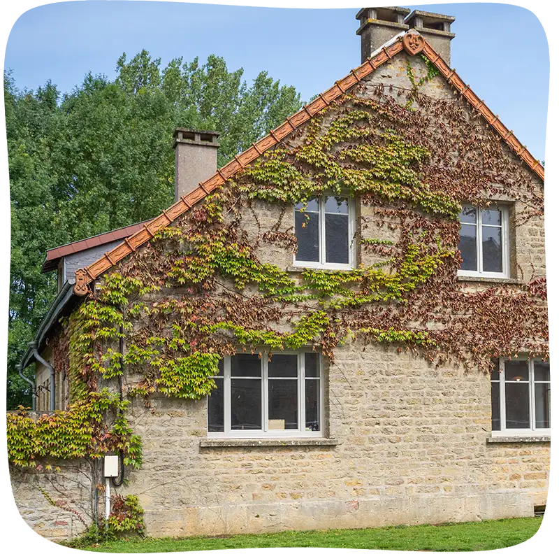 Façade latérale de la maison recouverte d'un lierre sur la partie supérieur. On y retrouve 4 fenêtres